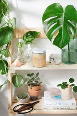 Organic Magnesium Body Butter
