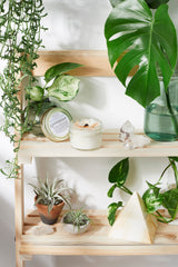 Space Clearing Intention Candle